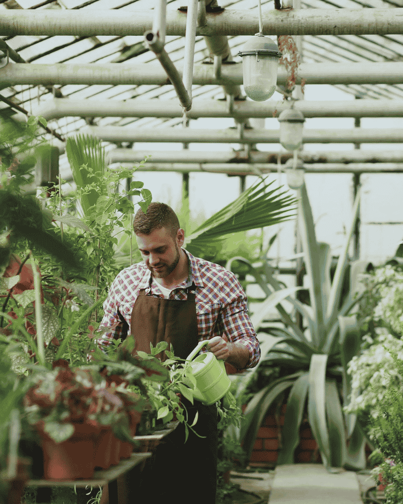 Vivero con plantas y jardín