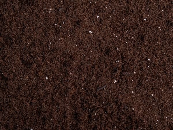 Tierra, composta y abono